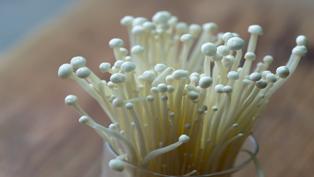 growing_enoki_mushrooms