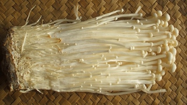 How_to_grow_enoki_mushrooms